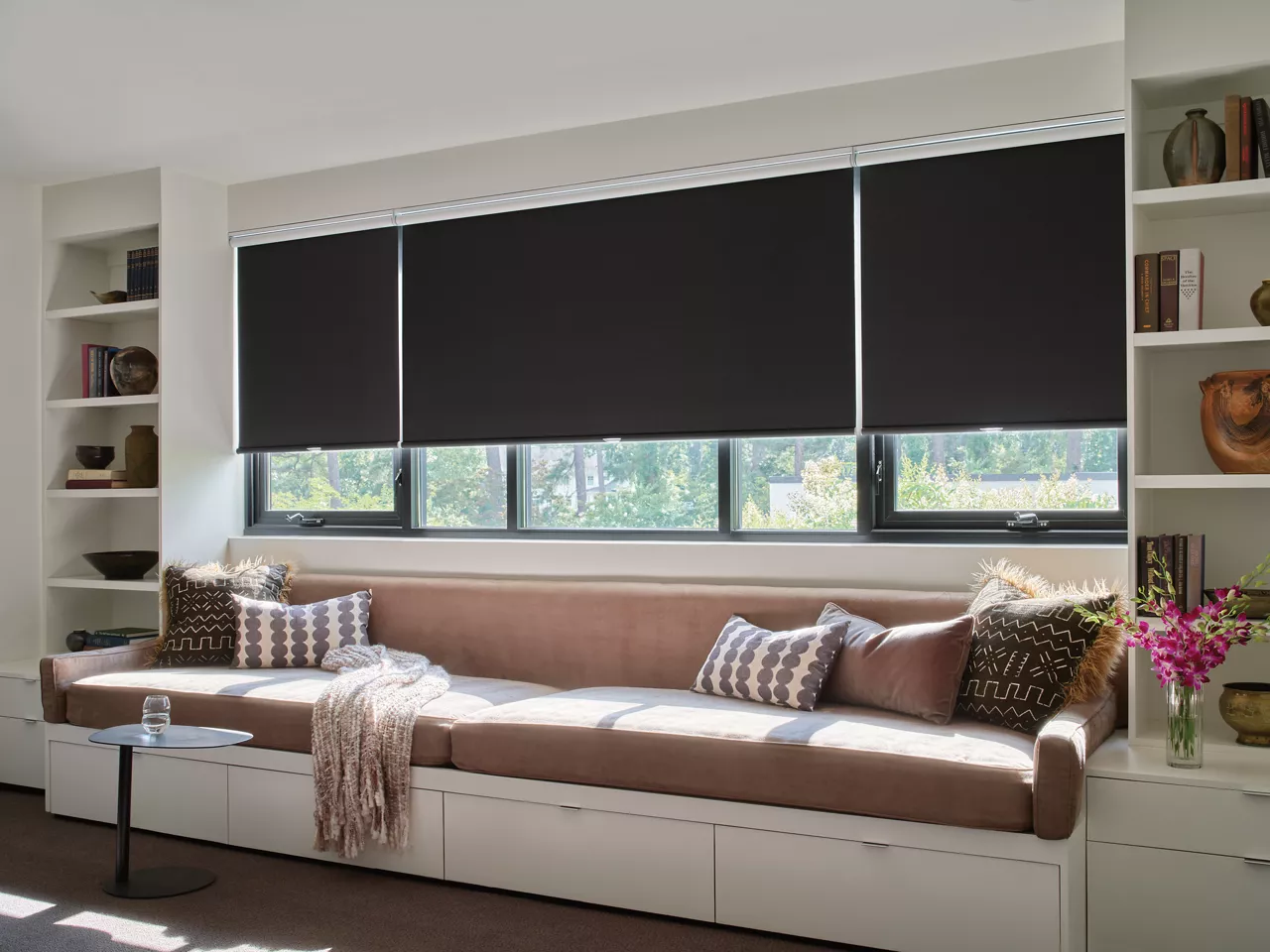 Hunter Douglas Shades