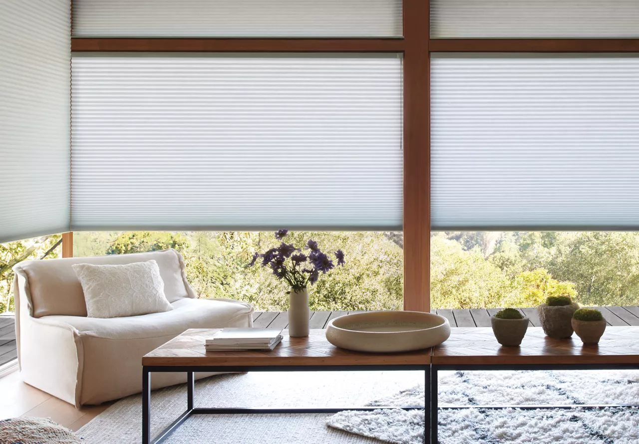 Hunter Douglas Shades