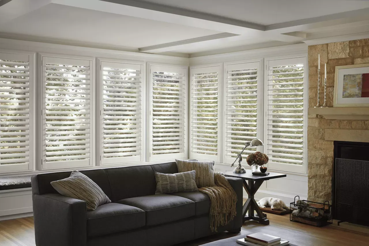 Hunter Douglas Shades
