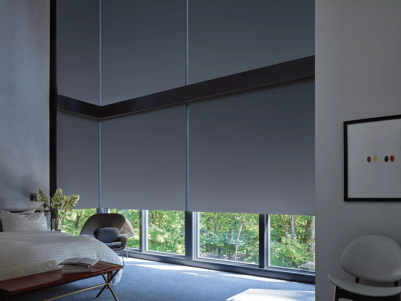 Hunter Douglas Shades