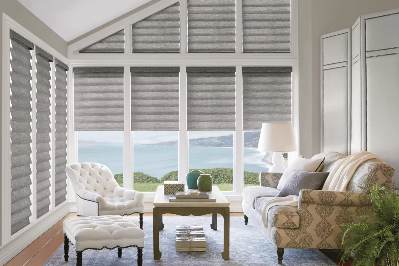 Hunter Douglas Shades