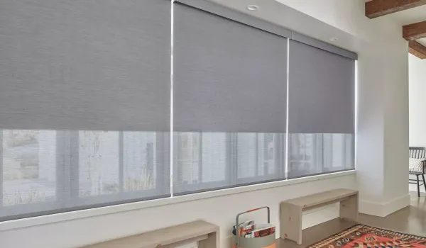 Designer Roller Shades